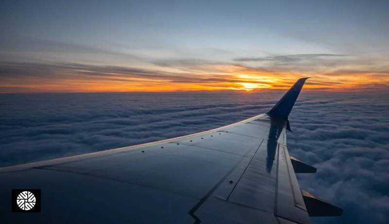 Why an Island of 23 Million Has Three Long-Haul Airlines - Health information for international visitors in Taiwan