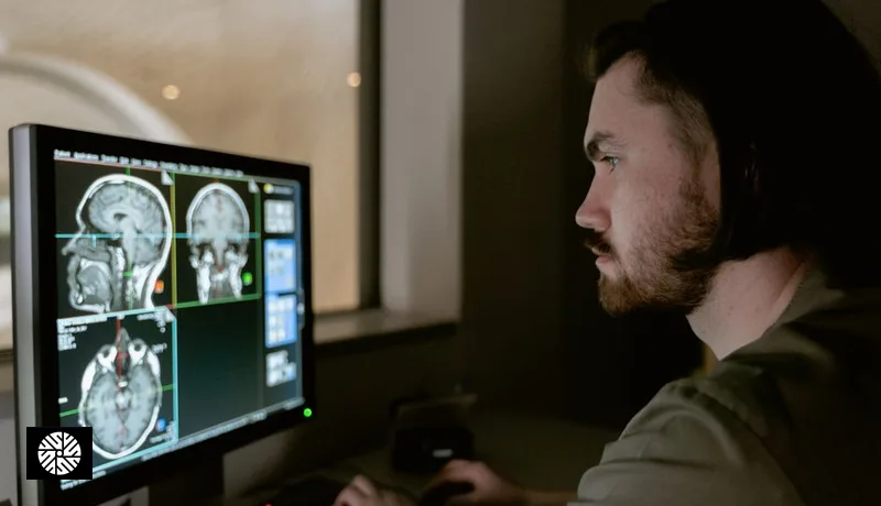 What Happens to Your Brain as It Ages — and Which Changes Actually Deserve Attention - Health information for international visitors in Taiwan