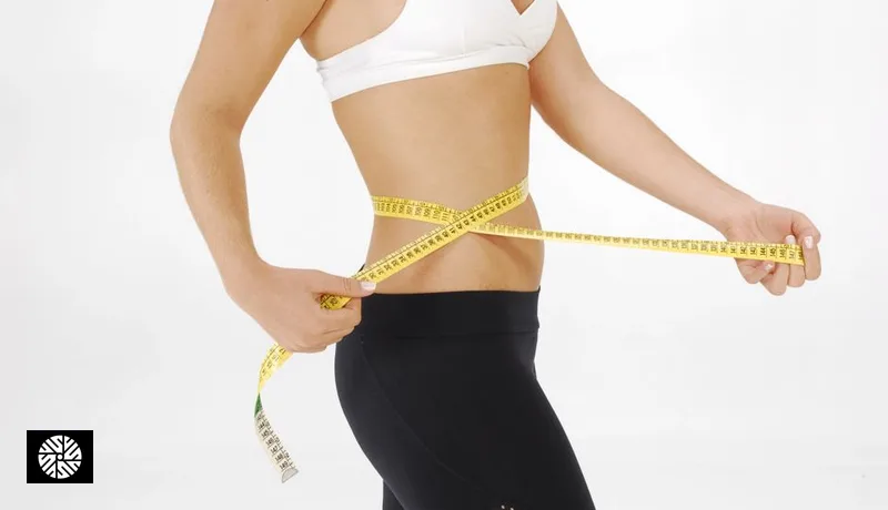 Visceral Fat: Why the Most Dangerous Fat Is the One You Can't See - Health information for international visitors in Taiwan