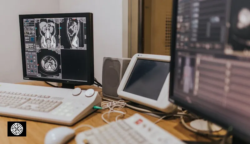 France vs Taiwan: From Delays to Instant Diagnostics - Health information for international visitors in Taiwan