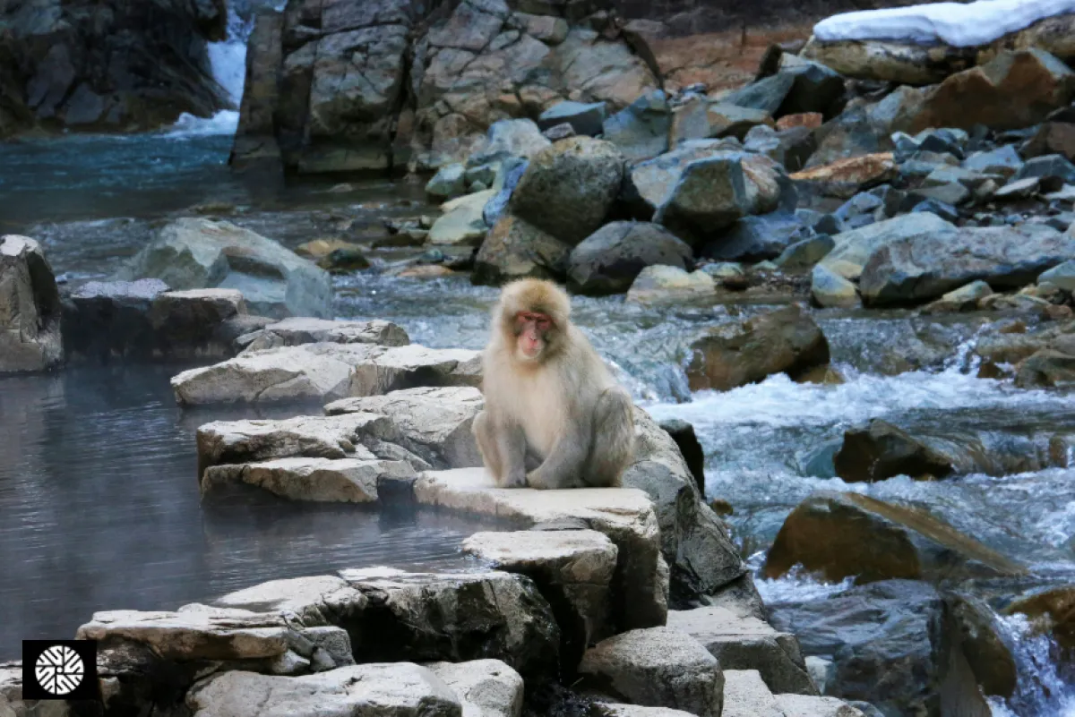 Why Taiwan Is Asia's Hidden Wellness Destination - Health information for international visitors in Taiwan