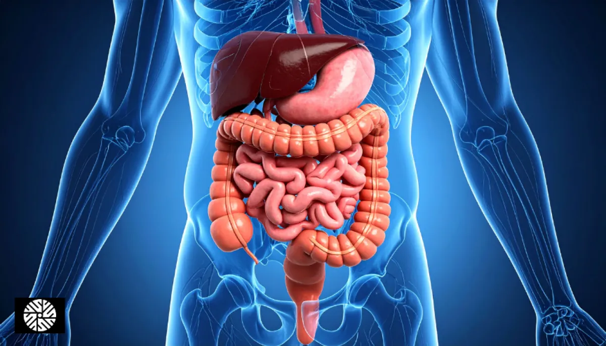 Digestive and Blood Tests in Taiwan – Complete Guide for Visitors - Health information for international visitors in Taiwan