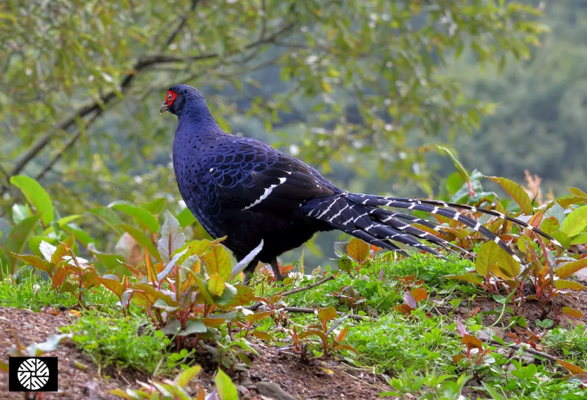 Taroko Gorge (34).png
